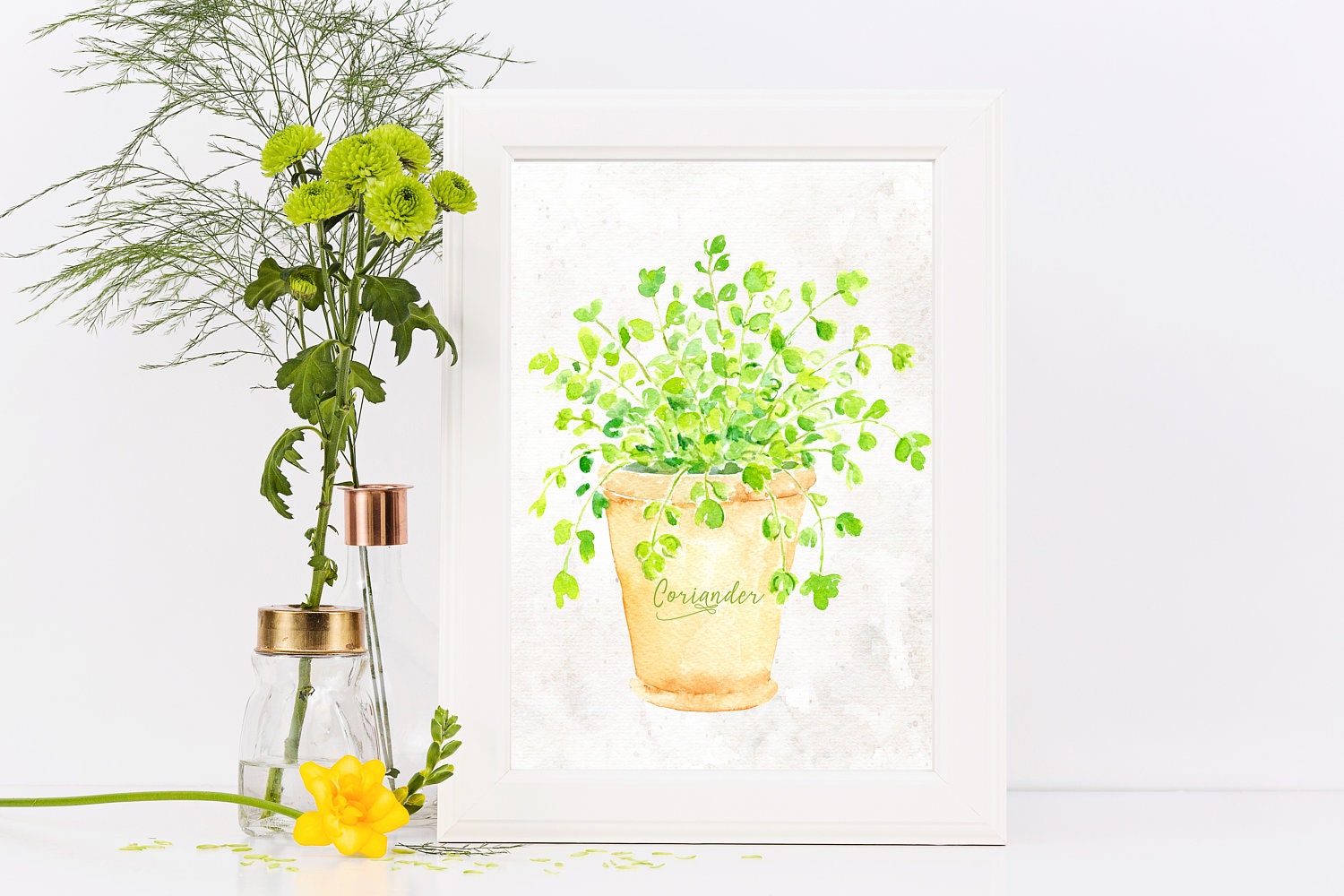 Herbs Printable Set of 4 8x10 Cooking Herbs Kitchen Print | Etsy