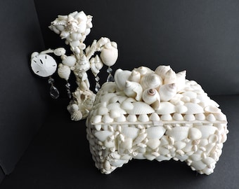 Shell Covered Box - Etsy