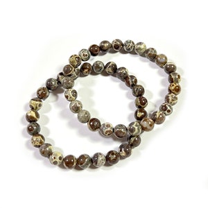 Women Men Bracelets Brown Asteroid Jasper Bracelet Stone Beads Bracelet Stretch Bracelets 6mm 8mm 10mm 8&#39;&#39;