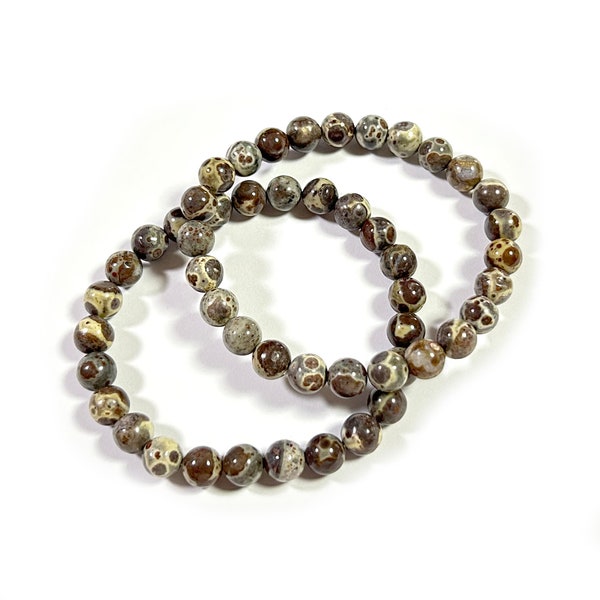 Women Men Bracelet, Asteroid Jasper Bracelet, Natural Stone Beads Bracelet 6mm 8mm 10mm 8''