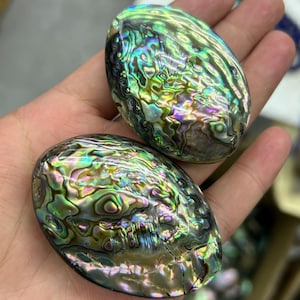 Abalone Shell Oval Beads Natural Big Abalone Shell Loose Beads For Jewelry Making 20x30mm 30x40mm 40x52mm 5pcs