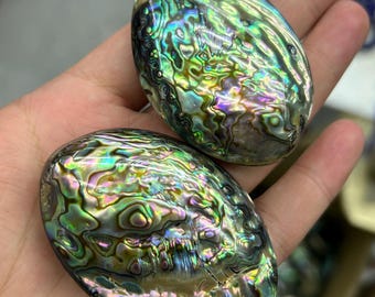 Ovale kralen van abalone schelp, natuurlijke grote losse kralen van abalone schelp voor het maken van sieraden, 20 x 30 mm, 30 x 40 mm, 40 x 52 mm, 5 stuks