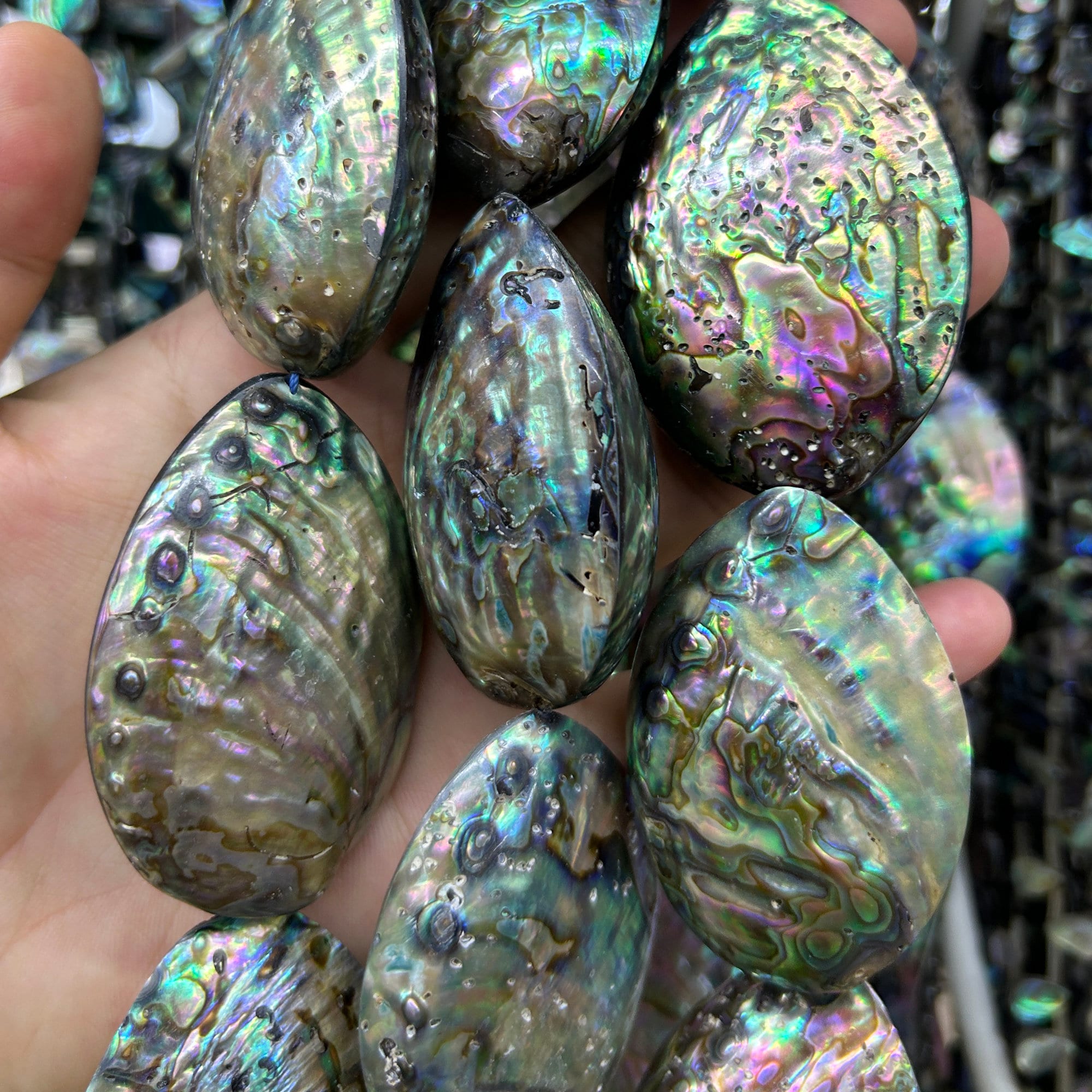 Abalone Shell Oval Beads Natural Big Abalone Shell Loose Beads For Jewelry Making 20x30mm 30x40mm 40x52mm 5pcs