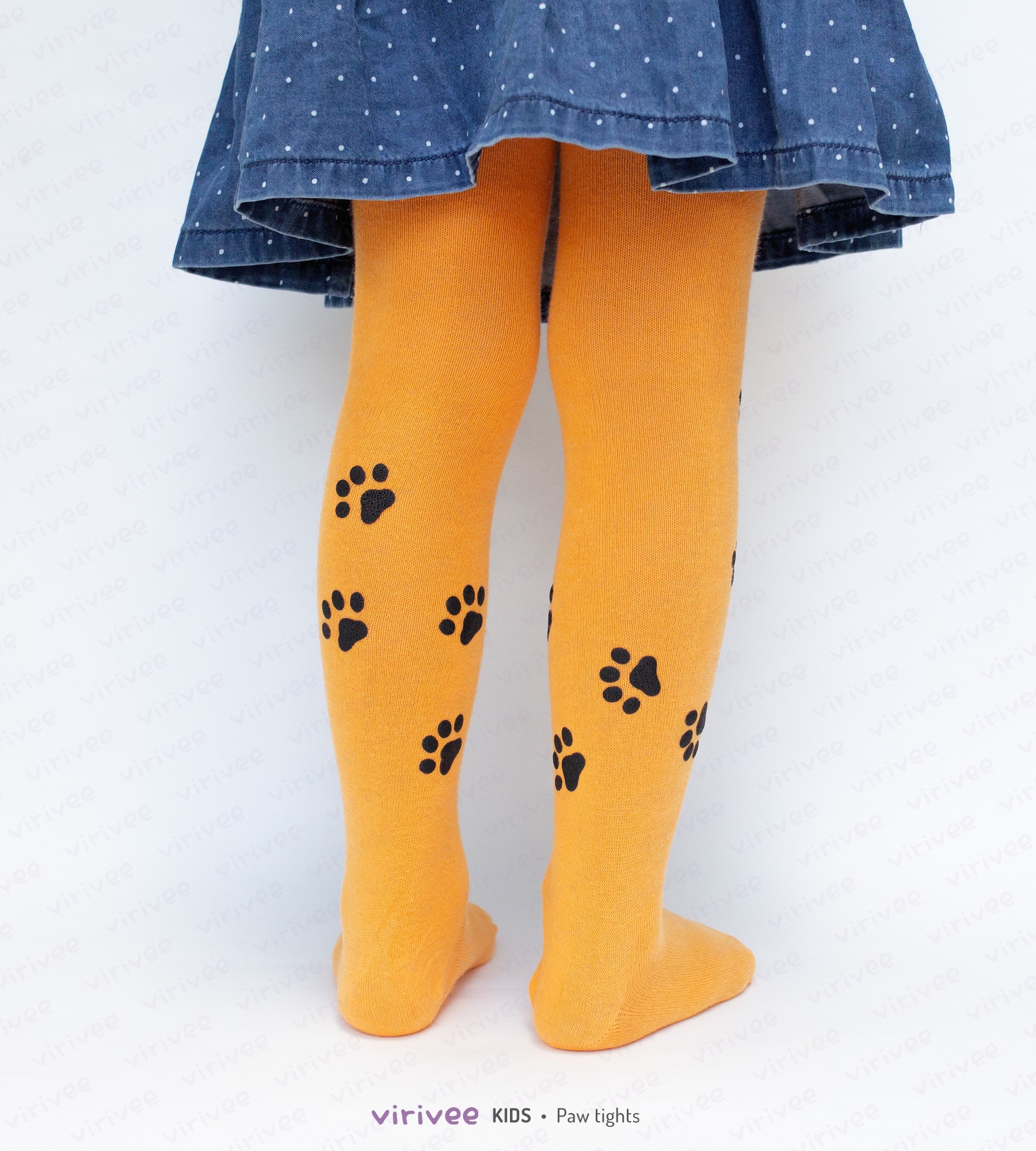 gymshark squat proof