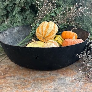 Op de afbeelding: Een rustieke, zwarte metalen kom gevuld met een verscheidenheid aan kleurrijke kalebassen en pompoenen. De kalebassen variëren in kleur van geel en oranje tot groen en wit, met gestreepte en gespikkelde patronen. De kom heeft een verweerde uitstraling en staat tegen een achtergrond van groen.