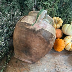 May include: A rustic, brown ceramic jug with a green handle, surrounded by small pumpkins in shades of orange, yellow, and white. The arrangement is set against a backdrop of greenery, creating a fall harvest theme.