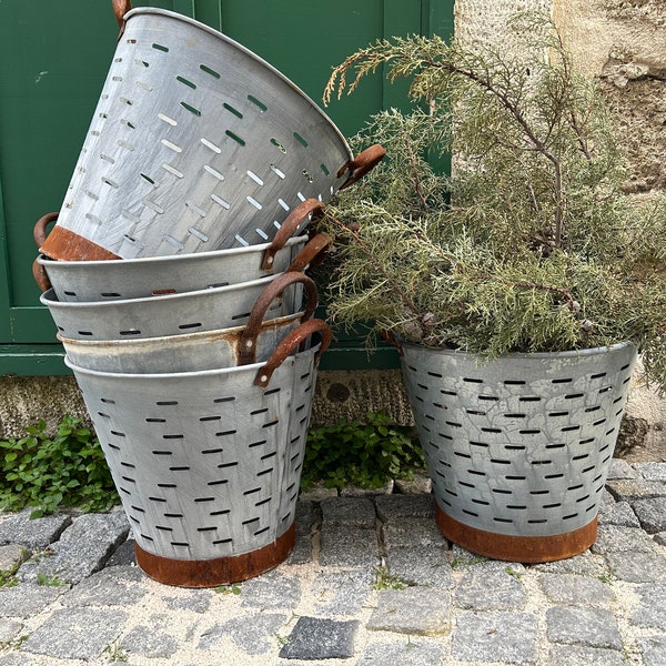 Set of 3 Vintage Galvanized Metal Olive Bucket, Rustic Farmhouse Decor