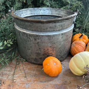 May include: A large, aged metal cauldron with handles, surrounded by pumpkins and greenery. The pumpkins are various sizes and colours, including orange and yellow. The cauldron sits on a wooden surface, creating a rustic, autumnal scene.
