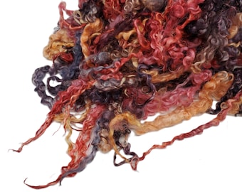 8"-10"  long, Extreme 2nd clip Teaswater wool locks , 1oz,  Premium locks for tailspinning ,felting and doll hair  (TT-3)