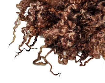 8&quot;- 10&quot; long ,  2nd clip Teeswater wool locks,  Premium locks for tailspinning and felting,  1oz , Color: Brown tones , ADF-42B