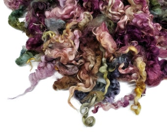 8"- 10" long ,  2nd clip Teeswater wool locks,  Premium locks for tailspinning and felting,  1oz , Color: Autumn tones , ADF-41