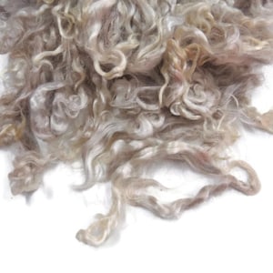 1オンス、キッドモヘアウールロック、手摘みカラーシャンパン LS-13