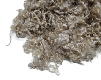 1oz,  Premium First clip undyed natural Kid Mohair wool locks , color Champagne (LS-1)