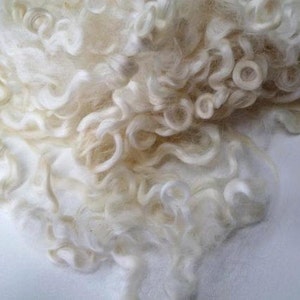 May include: Close-up of raw, unprocessed wool fibers. The wool is a creamy off-white color, with tightly curled locks and a soft, fluffy texture. The fibers are arranged in a dense, irregular pattern, suggesting a natural, organic material.