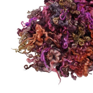 May include: A pile of colorful curly wool roving in shades of purple, pink, orange, and brown. The wool has a soft, textured appearance, with individual strands visible. The image is set against a white background.