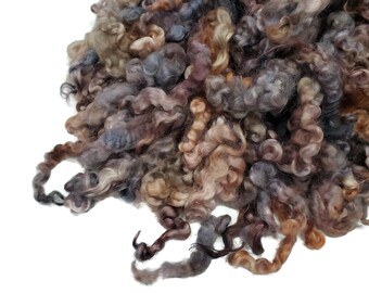 1 oz  Leicester wool locks , hand-dyed , 5 inch long , ADF-21