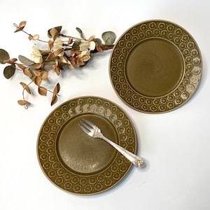 Könnte beinhalten: Zwei braune Keramikteller mit Blumenmuster. Die Teller liegen auf einer weißen Oberfläche mit einem Trockenblumenarrangement.