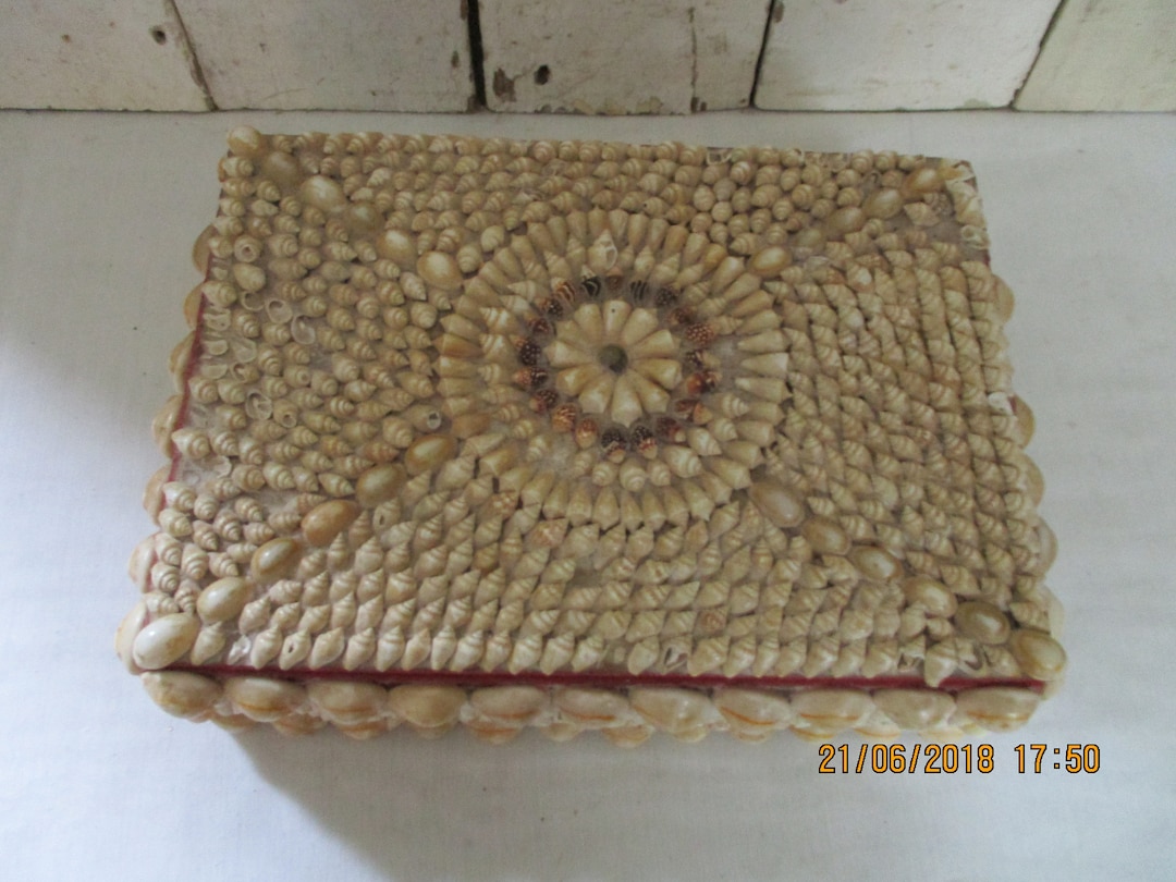 Vintage Sea Shell Jewelry Box, Red Velvet Lined Souvenir - Etsy