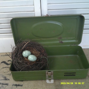 May include: A green metal toolbox with a bird's nest and two blue eggs inside. The toolbox has a latch and a metal handle.