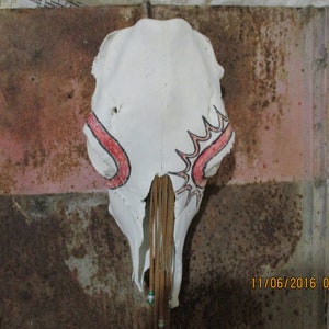 Authentic  Horse Skull, The Real Thing, Painted and Leather Beads, Ready to hang in your Western Decor room
