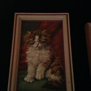 May include: A framed painting of a fluffy cat with ginger and white fur, set against a red backdrop. The cat is depicted in a seated position with a slightly open mouth. The frame is light brown with a red inner border.