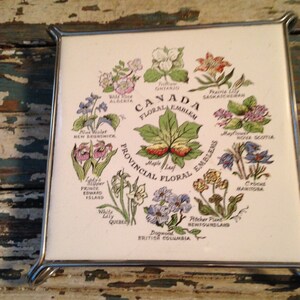 Canada Souvenir Hot Plate Floral Emblem Provincial Floral Emblems HR Johnson LTD Cristal Made in England