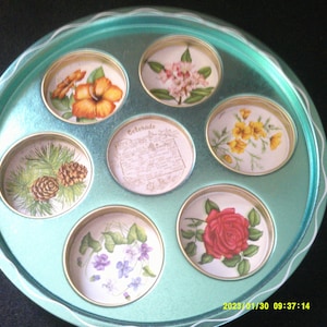 May include: A teal round tray with seven circular compartments, each featuring a different floral or botanical design. The designs include a hibiscus flower, a pine cone and branches, a rose, a cluster of violets, a group of yellow flowers, a cluster of pink flowers, and a text panel with the word "Colorado".