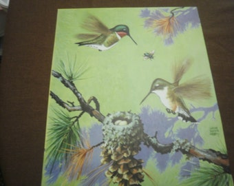 1940s Hummingbird Lithograph by Jacob Bates Abbott, Nursery Art (10x12)