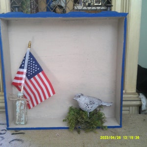 Könnte beinhalten: Eine kleine, hölzerne Schattenbox mit blauem Rand, die eine amerikanische Miniaturflagge, eine durchsichtige Glasflasche und eine weiße Vogelfigur auf einem Bett aus grünem Moos zeigt.