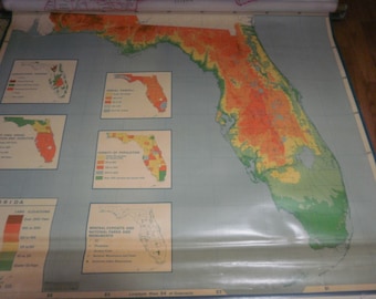 Reduzierte Nystrom Vintage Schule Florida Karte Pull Down Excellect Zustand Sehr ungewöhnliche Überlagerung von Counties of Florida Lebendige Farben