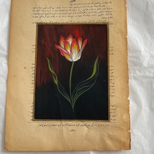 Vintage Ottoman Miniature Painting- Arabic  Pages - Hand Painted - Floral - Turkish