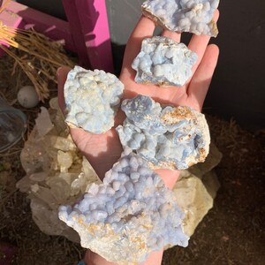 May include: A collection of four blue chalcedony nodules with a white and gray matrix. The nodules are clustered together and have a rough, textured surface.