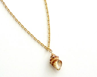 Gold shell pendant, Sea shell gold chain necklace, Ocean necklace, Summer necklace, Beach tropical nature necklace, Sea lover gift