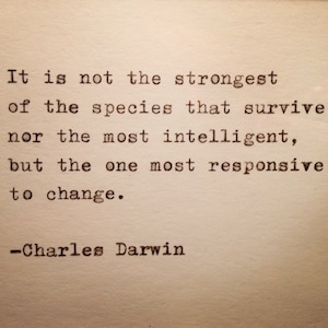 Charles Darwin Quote Typed on Typewriter