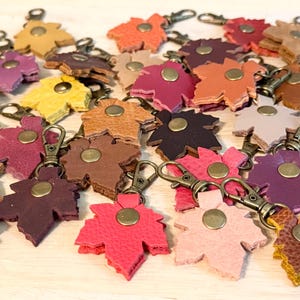 May include: A collection of leaf-shaped keychains made from various colors of textured leather. Each keychain features a central brass-colored metal snap button and is attached to a bronze-toned metal lobster clasp for easy attachment to items.
