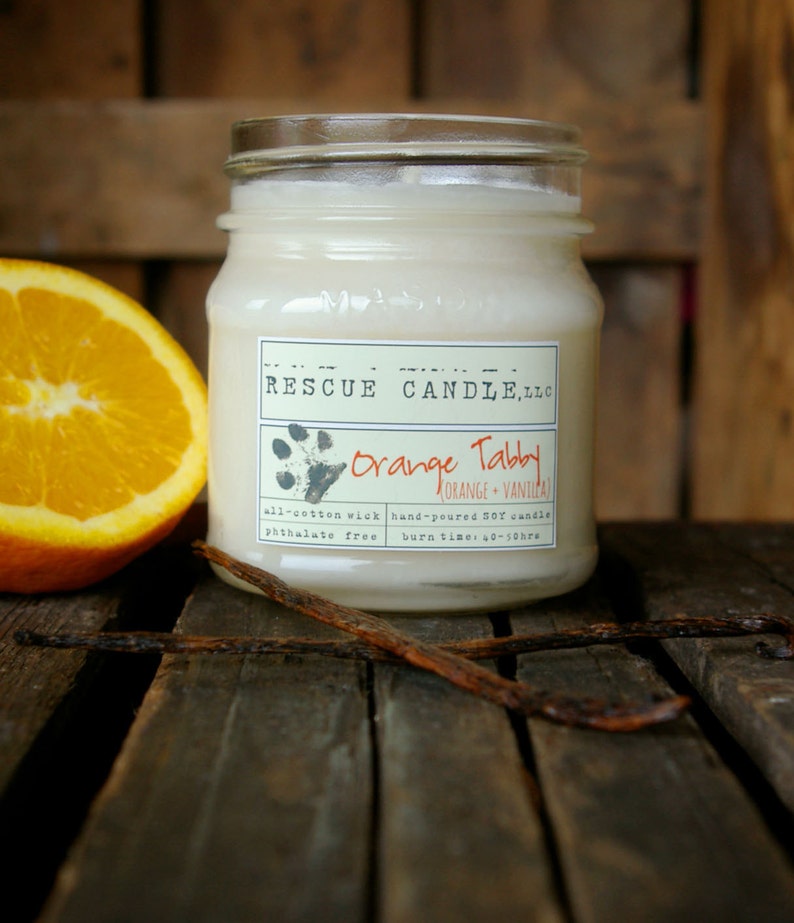 Orange Tabby Soy Candle / 8 oz. Glass Mason Jar / Orange Etsy