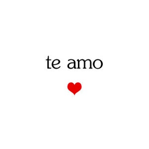 I love you in Spanish - Card for him or her  - te amo - Gift for a boyfriend, husband, girlfriend or wife or anyone you love.