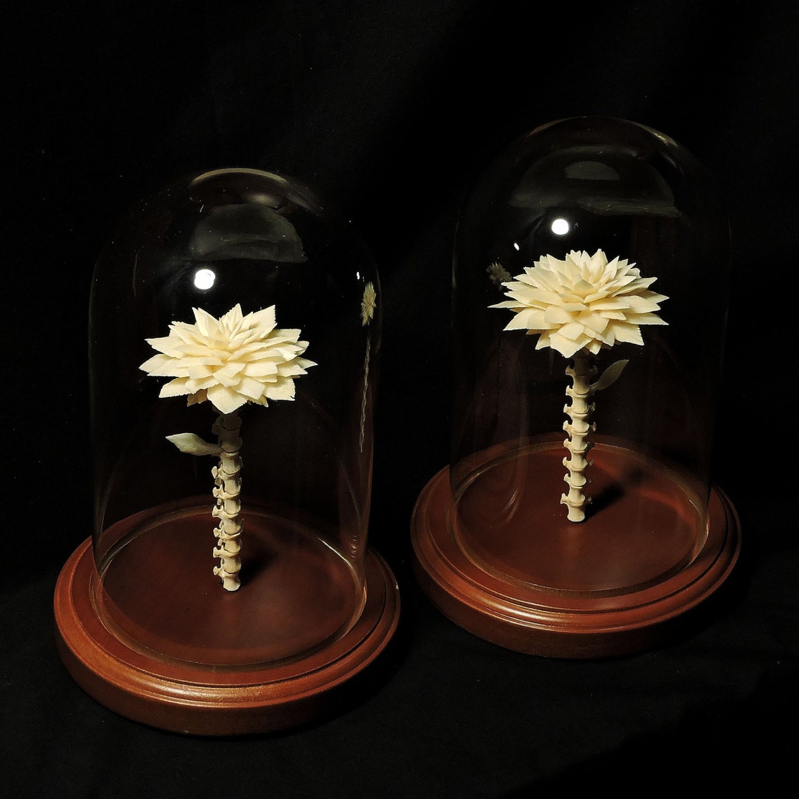 Bone Flower Under Glass Dome Etsy