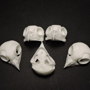 3D Printed Elf Owl Skull Artist Lot of 5 image 3