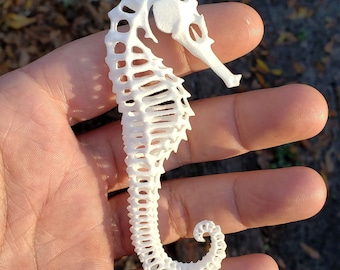 3D Printed Seahorse Exoskeleton