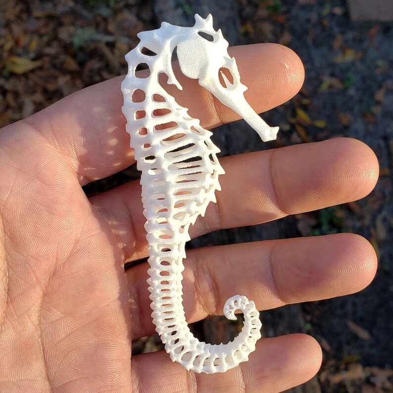 3D Printed Seahorse Exoskeleton image 1
