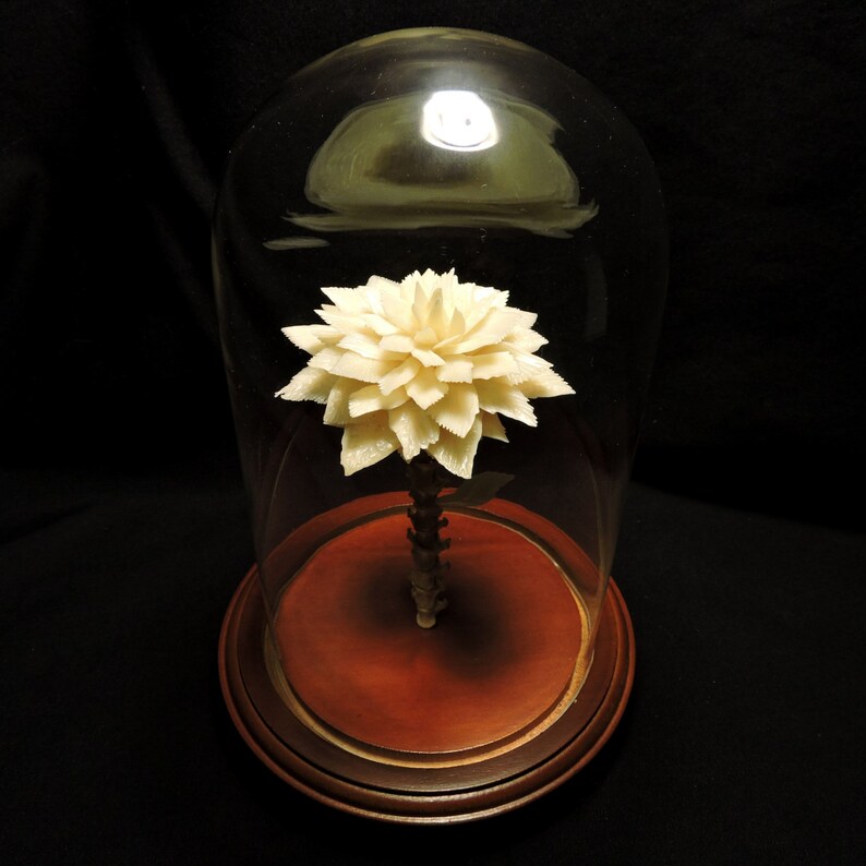 Bone Flower Under Glass Dome Etsy