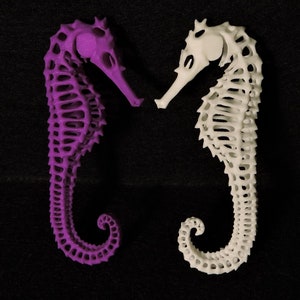 3D Printed Seahorse Exoskeleton image 2