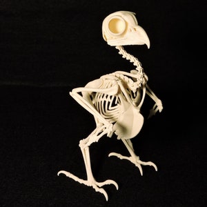 Easter Bunny Skeleton 3D Print Taxidermy Sculpture