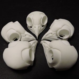 3D Printed Elf Owl Skull Artist Lot of 5 image 1