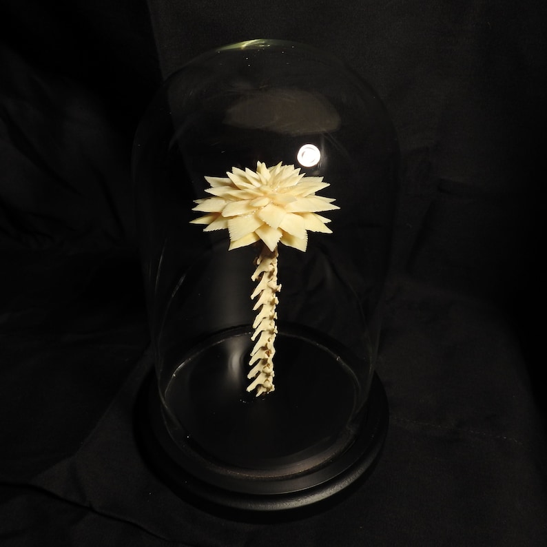 Bone Flower Under Glass Dome Etsy