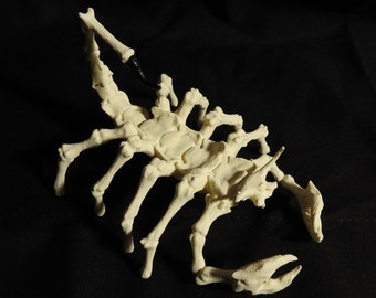 Bone Scorpion Replica