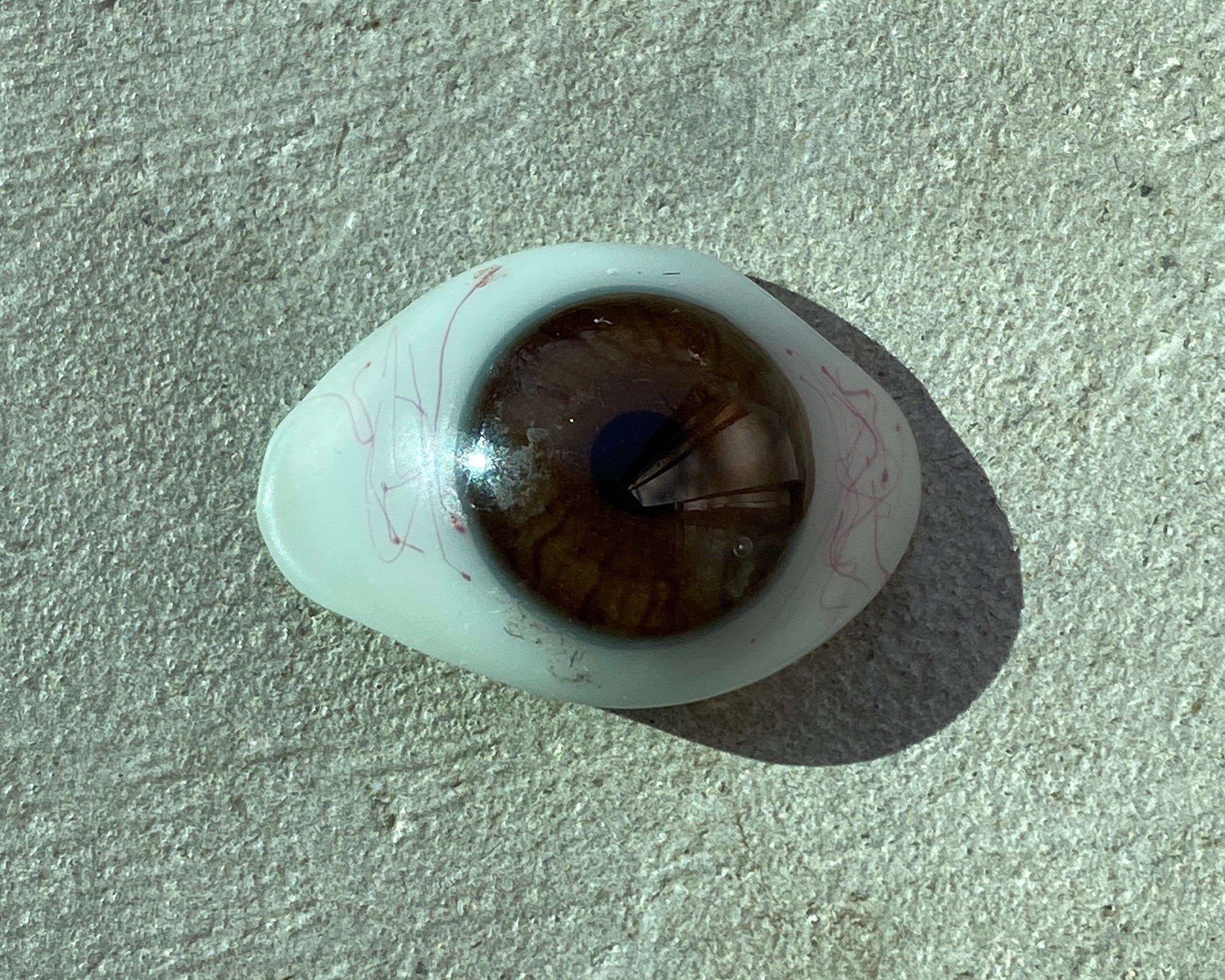 Prosthetic Glass Eyes for sale Only 2 left at 65