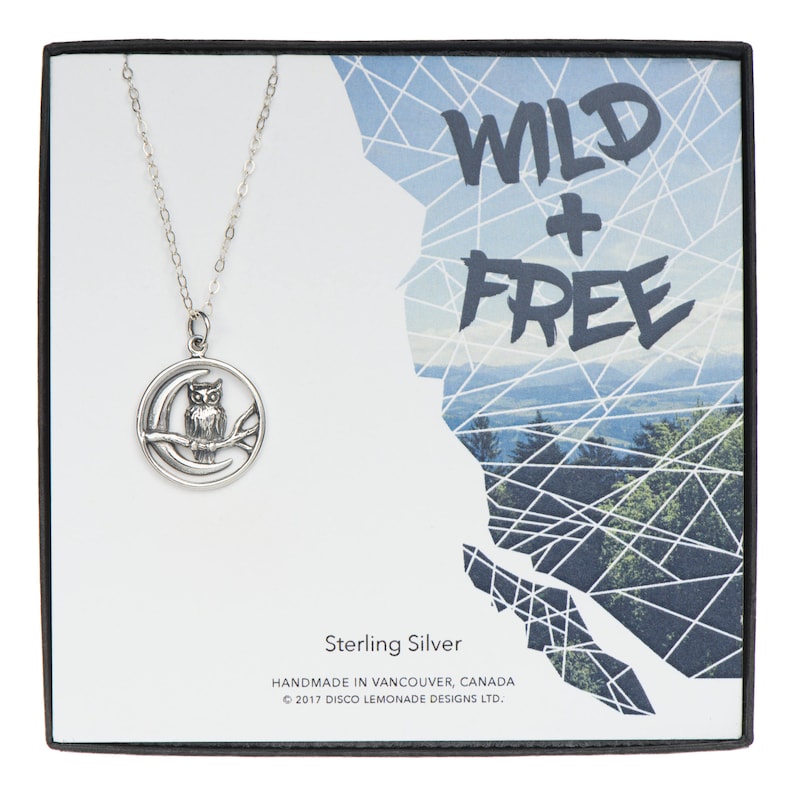 Owl Necklace Gift Moon Necklace FREE SHIPPING USA Owl Gifts Moon Pendant Owl Pendant Owl Jewelry Necklace Moon Moon Jewelry