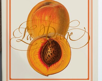 4.25"x4.25"Pair of French Fruits La Peche(peach) Coasters 4.25x4.25
